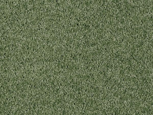 Vorwerk Luana Teppichboden grün – rechteckige Draufsicht